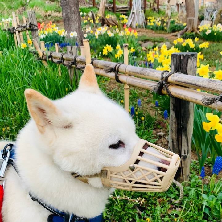 E0170df4 cf01 4403 a305 7096fe410678 1651868667433