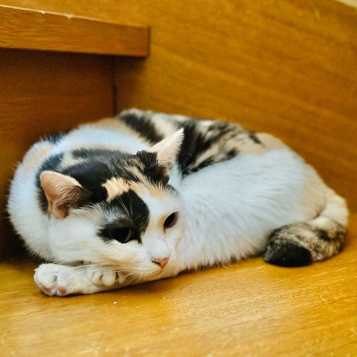 E0173726 7643 4c78 a6f7 1274ad319429 1691892770485