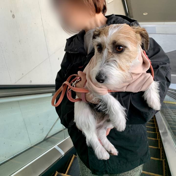 E01770ec ee4e 40ef bcf9 c42a96e5ee0d 1638657087012