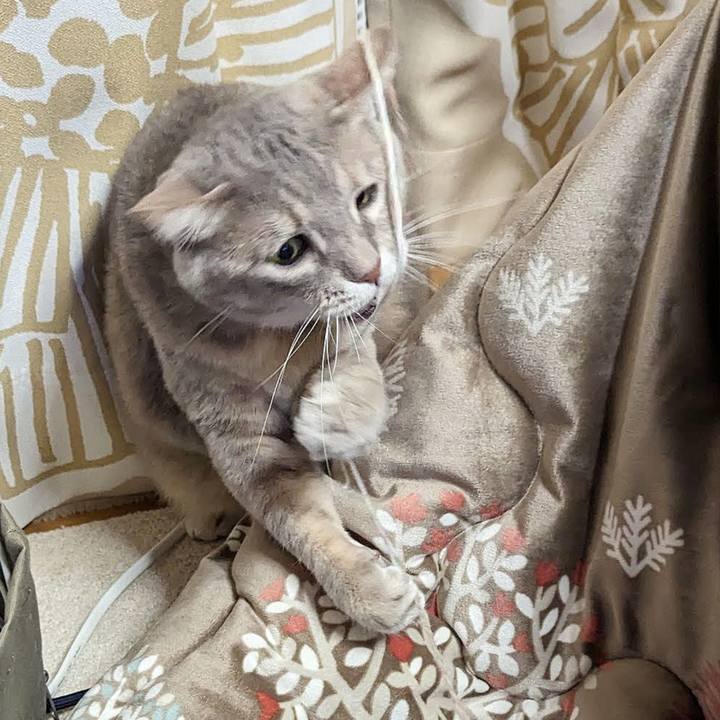 E017803b 5e2a 45e5 83d3 0a1a21a5c7da 1710475221141