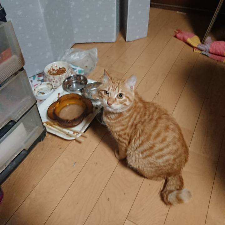 E017aab2 85c3 450e 8bbf 38eb0709e9d7 1639687853433