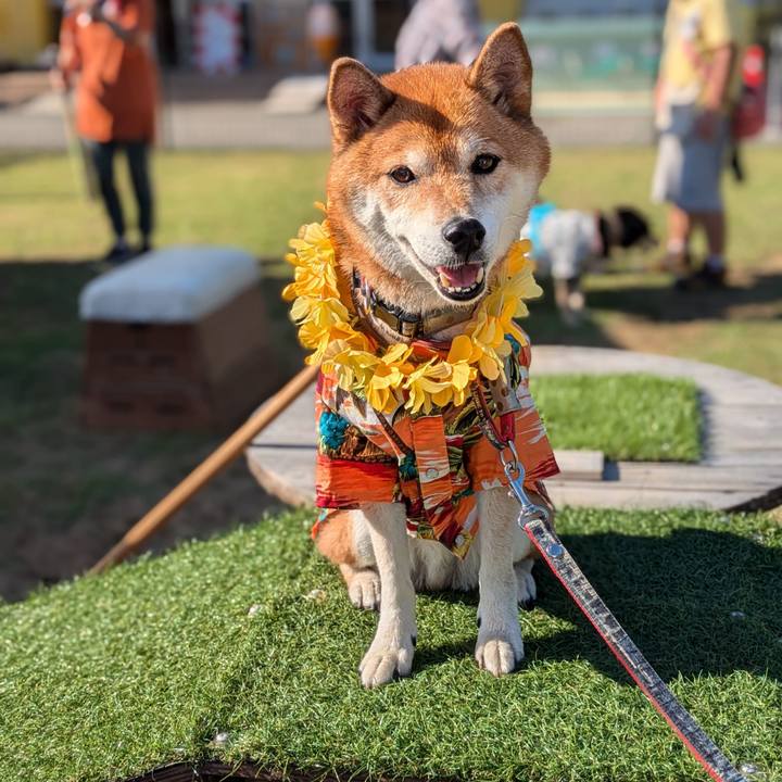 E017b882 50d3 4760 84f4 e3c619084363 1722850214360