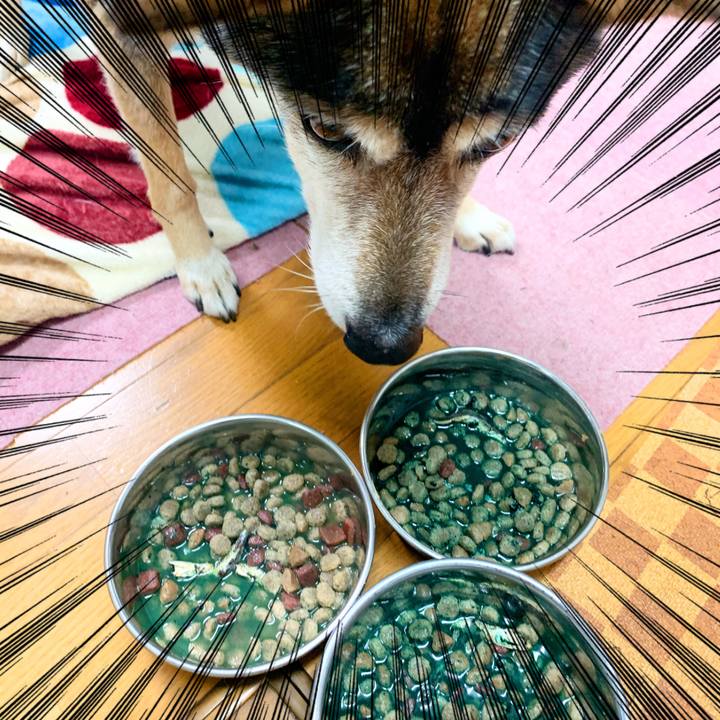 E017d903 99e6 48eb b481 759e6b87a859 1576456033584