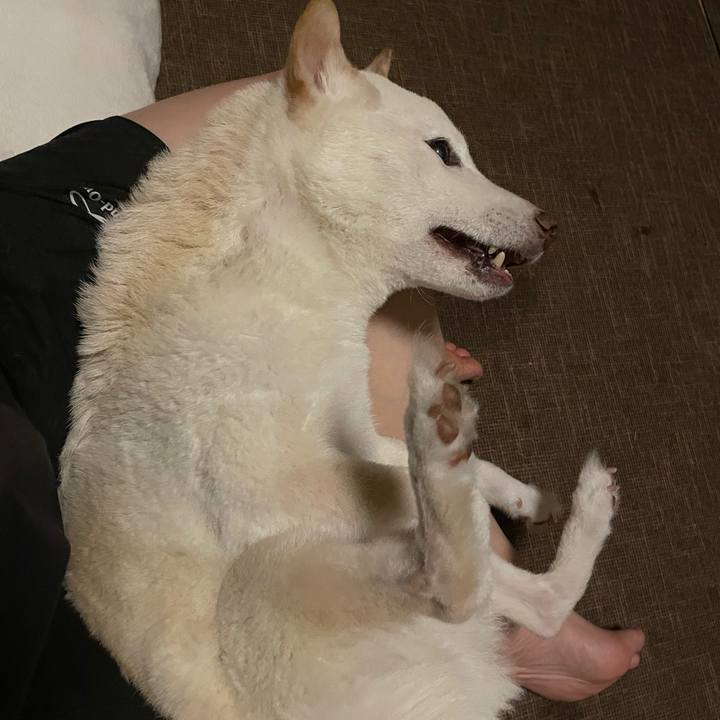 E01833e1 a6b7 4b83 834c 9a4f2824d2a4 1666294624736