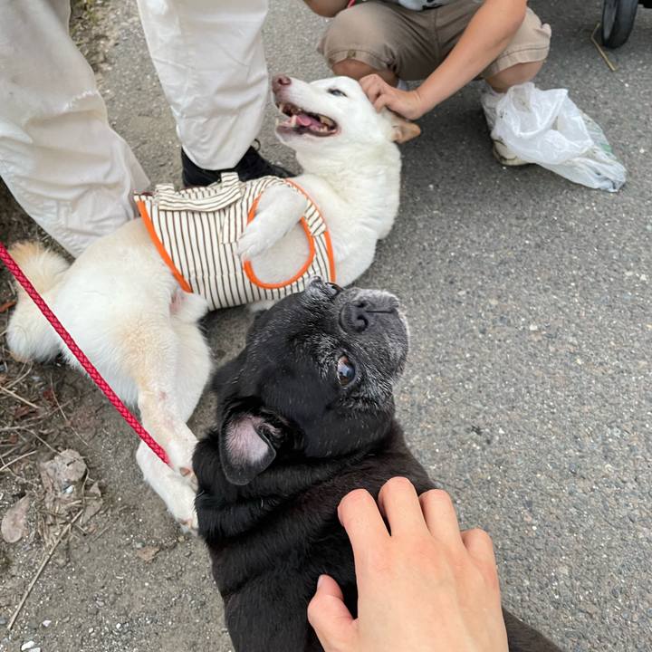 E0183dfe f55a 4f28 b078 9dfa8f45998b 1655472659985