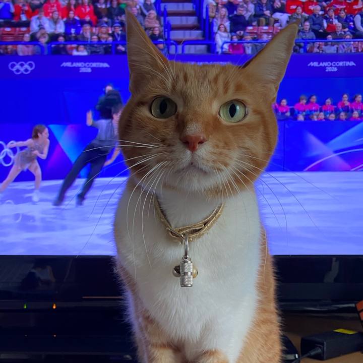 E0187341 a0c6 4e3d 9267 027beafe212f 1771299091373