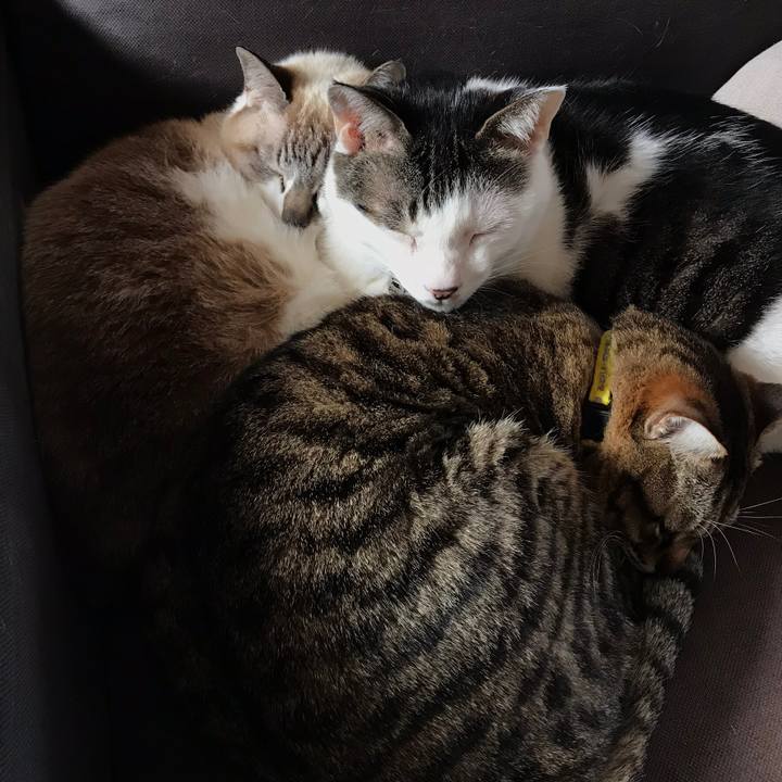 E0187698 d122 4e75 a2fb 532042778d08 1528191558072