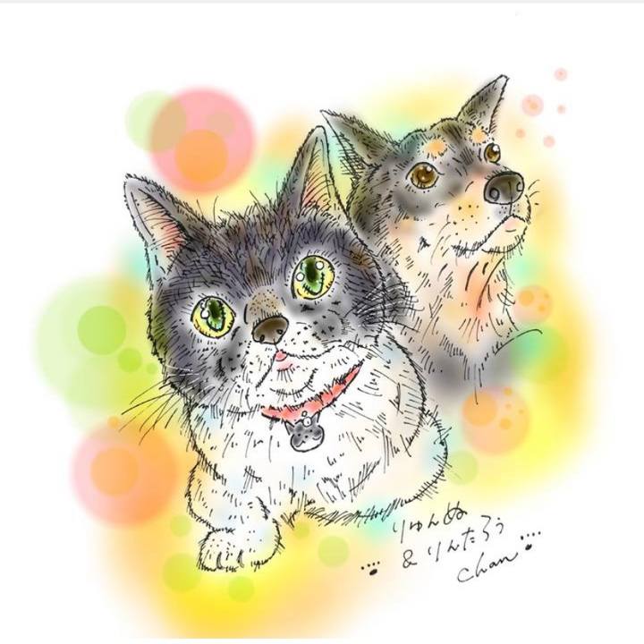 E018867b 1106 466f ae4a a54fb499a565 1583628603747