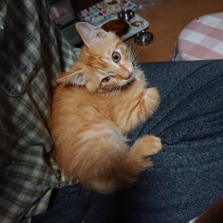 E0189975 a746 48ae 8b5d fccfcc333683 1630355535121