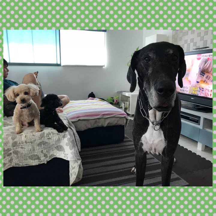 E018dcbf c6f6 4ba7 bc13 8e1051c6894a 1530484771949