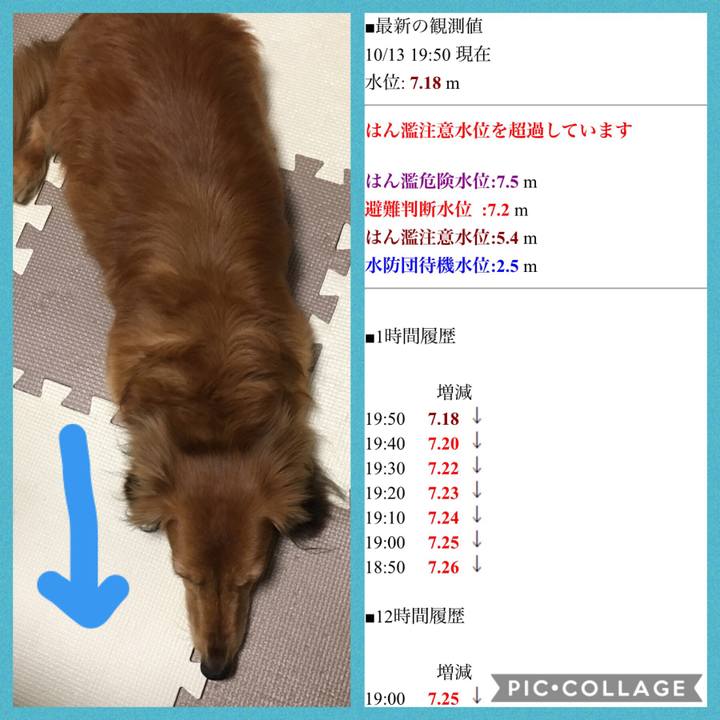 E018e4bb ae11 4cbe 8d8f e06d1a529363 1570964961434