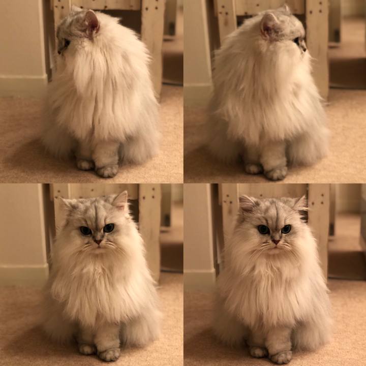 E019262f c08c 4cee 8161 e985439037cc 1548163496798