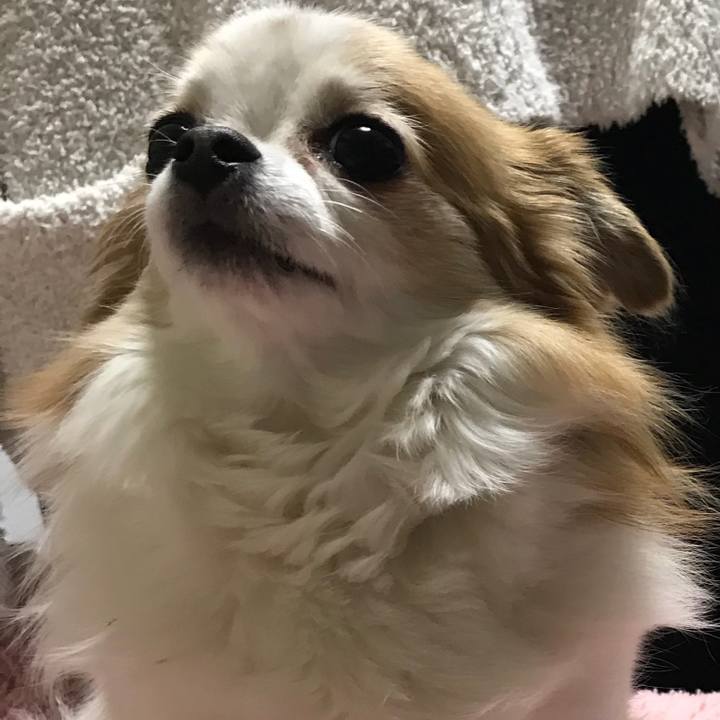 E019383a dad8 4a91 856d 6bddb0d7f282 1555854994772