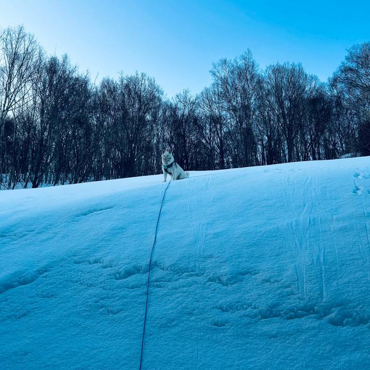 E01948d4 5902 462f 94e7 92d98be33736 1741559377228