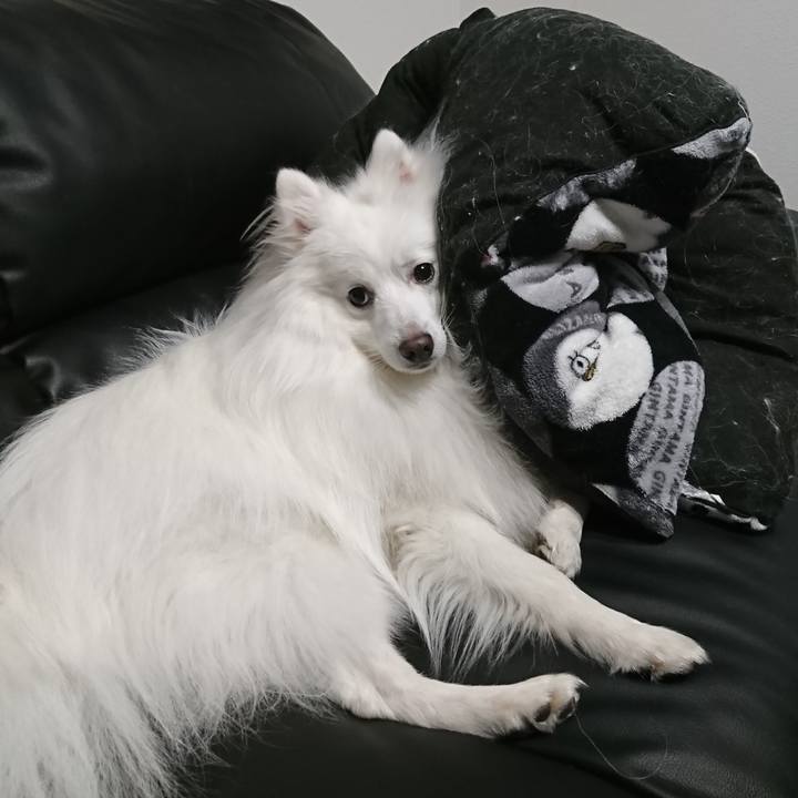 E0195a8d a67e 4daa aecd 08092597e908 1608978377109