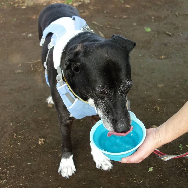 E0195eb2 df6a 444d 8895 9aac606e078d 1751845857399