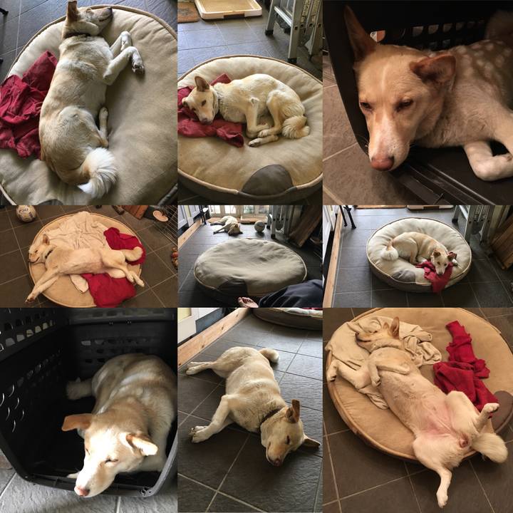 E019762a 8351 4e5d 844f bd320650f46a 1527629809459