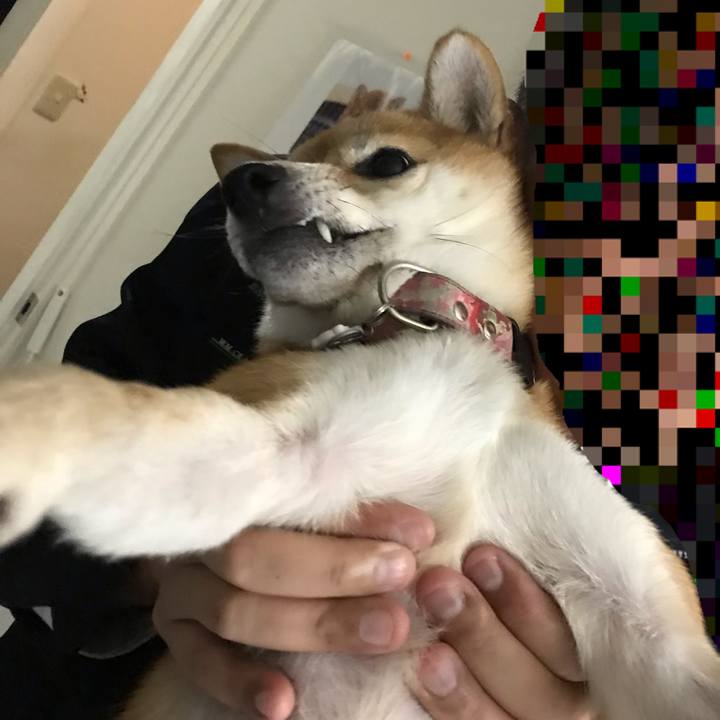 E019c229 f43e 4563 8953 45aa13b1e2d4 1543213484892