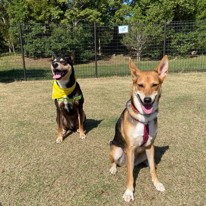 E01a9acb 0bdf 4795 b489 f3745a8459c0 1603182810718