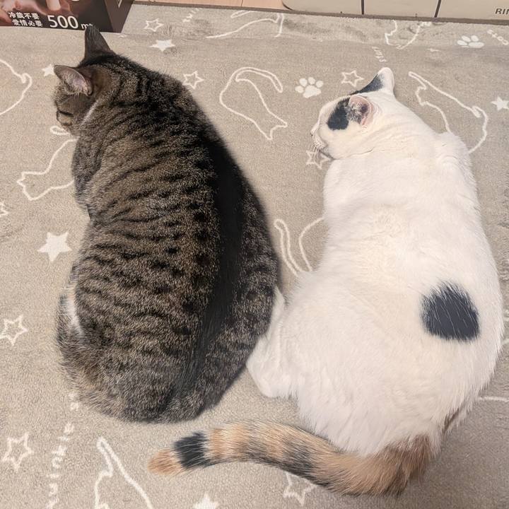 E01aaaa6 e2bb 4063 92b9 426e586214e3 1764240784522