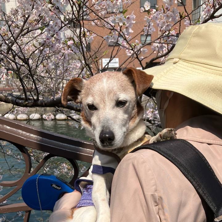 E01ad236 21bd 4047 a865 74aad750285c 1774755710118