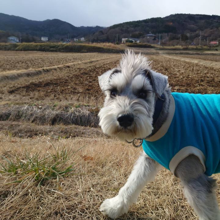 E01af320 8dcd 4cfc ad0c 77228f9b7e99 1767842321791