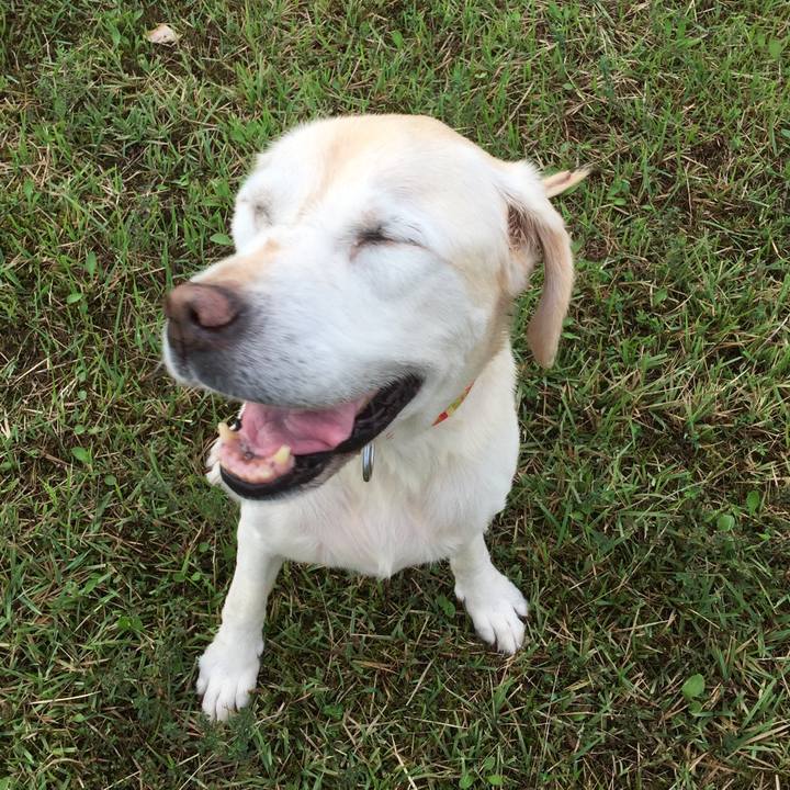 E01af51f 833f 49ca b3f8 6a832abb6450 1507676766944