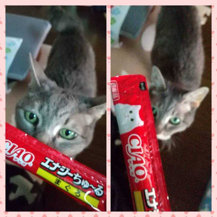 E01af83f a9b3 40f3 89a6 53f55589b97c 1696202385779