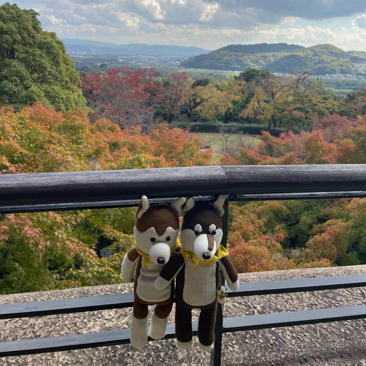 E01b0585 be93 4cb1 9852 58b31ebba566 1667683806193