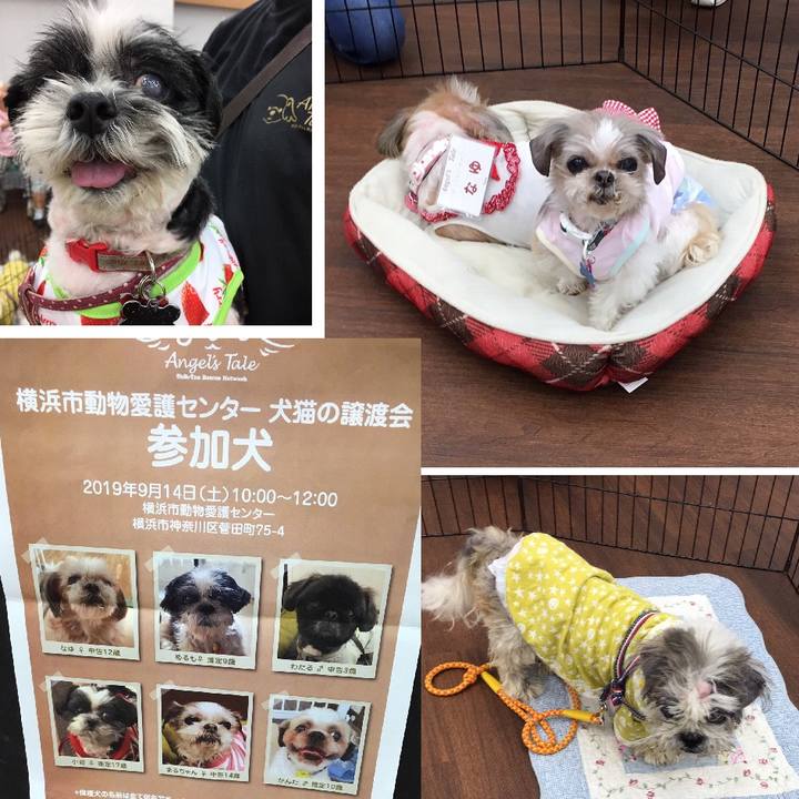 E01b0dc1 57ec 4d4c 996c 00cc9dfb1760 1568438994673