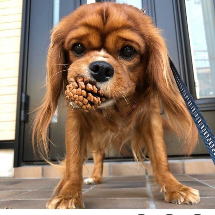 E01b1acf d71b 474a bd74 20748f31a69c 1642430605053