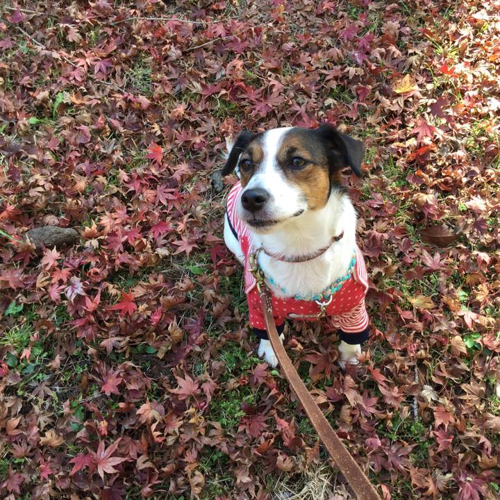 E01b3064 c7b8 4a15 9a35 25af9711aaa4 1510449424237