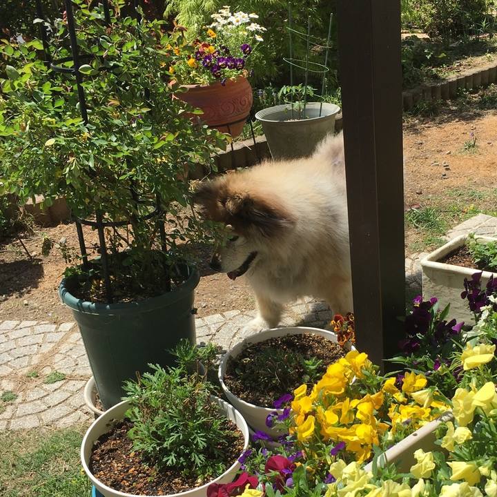 E01b457e 7745 46d4 9f1e a22f32b6074a 1590826893804