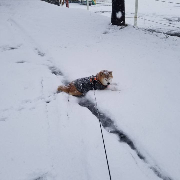 E01b57a6 ac28 489c bc1d 56265465f0f1 1733633291852