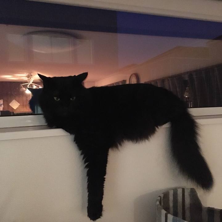 E01b5d9a cb58 4ed6 a5f7 f2d4f55839b3 1531916719934