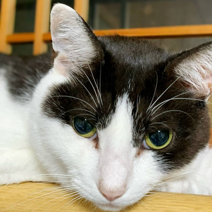 E01b7baa f25b 424d 84e7 95a652d3de40 1595296839793