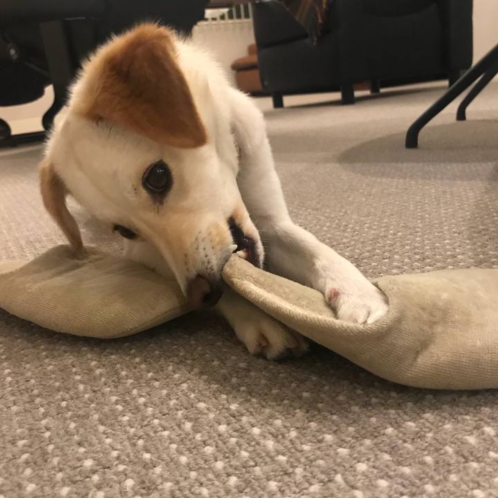 E01b86c3 74b1 49b7 a718 2437f2be6147 1525703049444