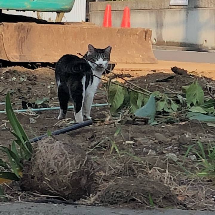 E01b8c80 ce3c 4f07 9748 f22b13f9e3b0 1535603293730