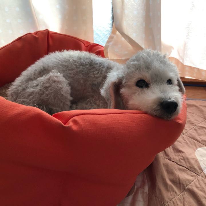 E01b9ff5 d4c1 4ba6 a61c 1ae2f9fb17ea 1590394684648