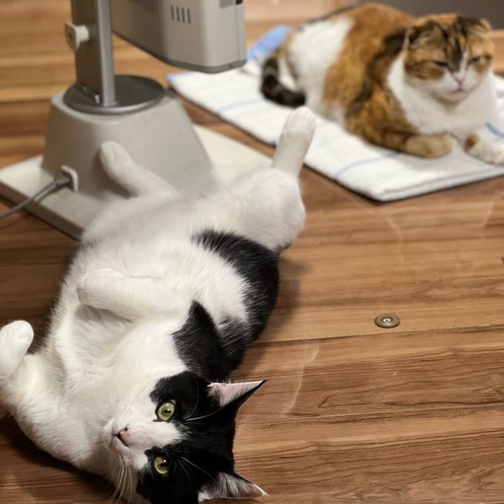 E01bc44c 588e 4c5a a6b8 892db1aaa369 1673098725343