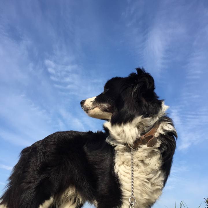 E01bc58e 15bc 4666 88c1 666e52084882 1557441327852