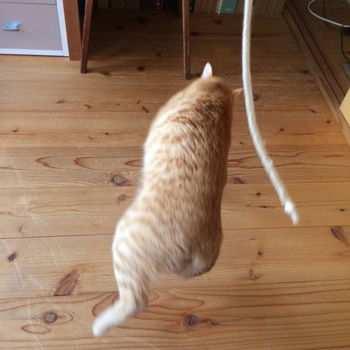 E01bce58 503b 4e8b 8edc c50982becf24 1526778058319