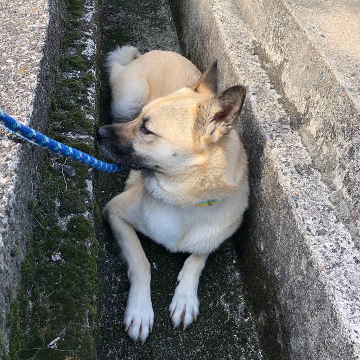 E01c0411 94e9 4416 b9dc c7806976d6a8 1526123159027