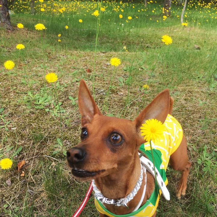 E01c1ffe abe8 45b5 801b 609a2d8d5664 1562450110571