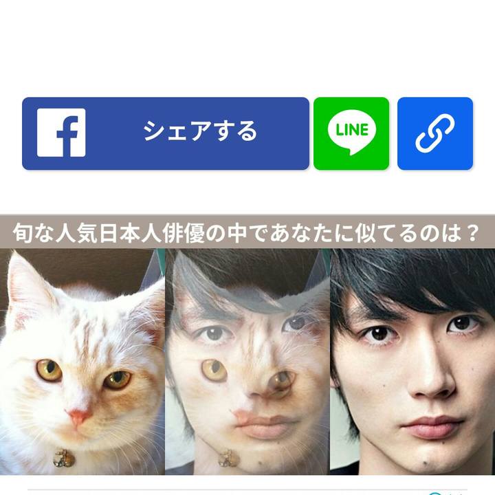 E01c40e5 37c7 4e2a bac4 bbdaa1933c30 1529760196941