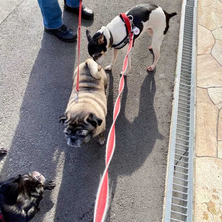 E01c52fa c706 446b 8b07 302150568741 1589255261954