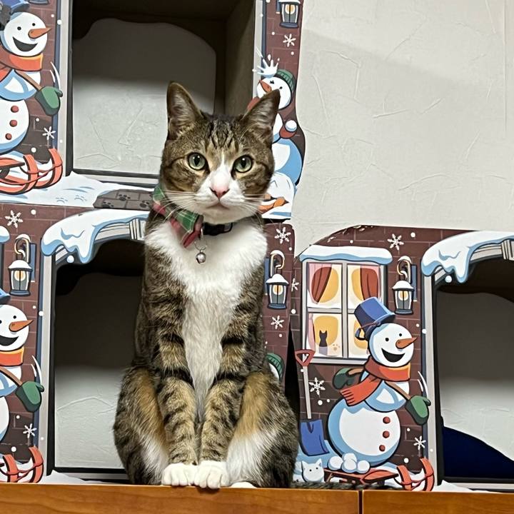 E01ca128 884f 47ed 90ca c77dbed2ac52 1774310829164