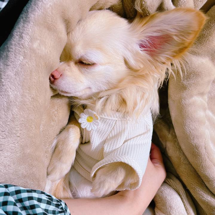 E01cdf82 2d0a 4de8 b2da ae8921195700 1652419168984