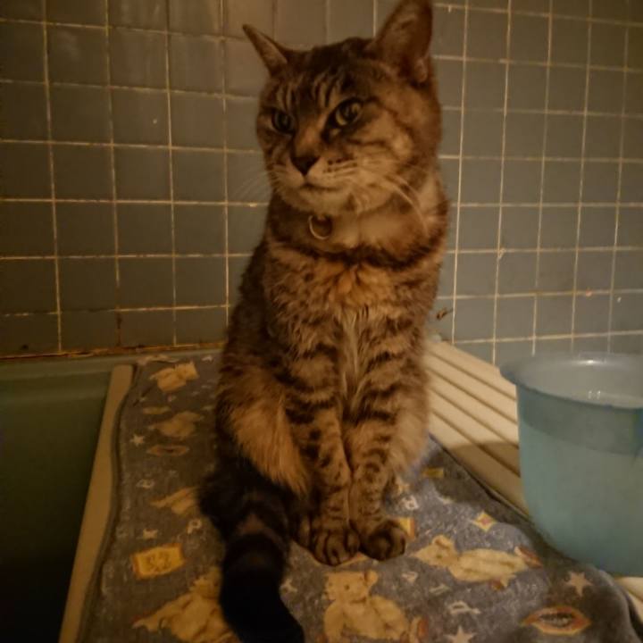 E01d1f60 dcef 4797 a761 15d7153f7ef5 1578733716341