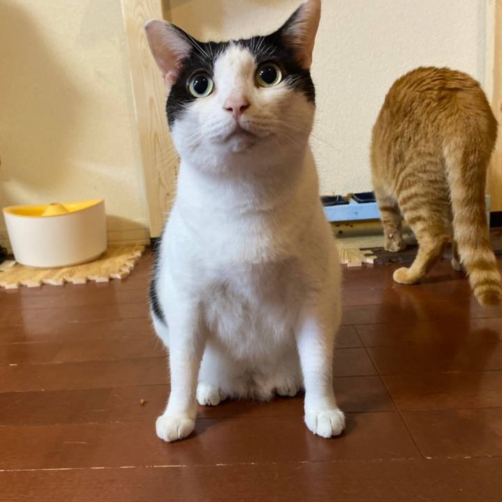 E01d34dc c2a0 453b 9ede ce6085bcf950 1599124458966